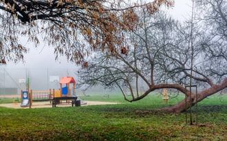 Egy kis szín a ködben. 