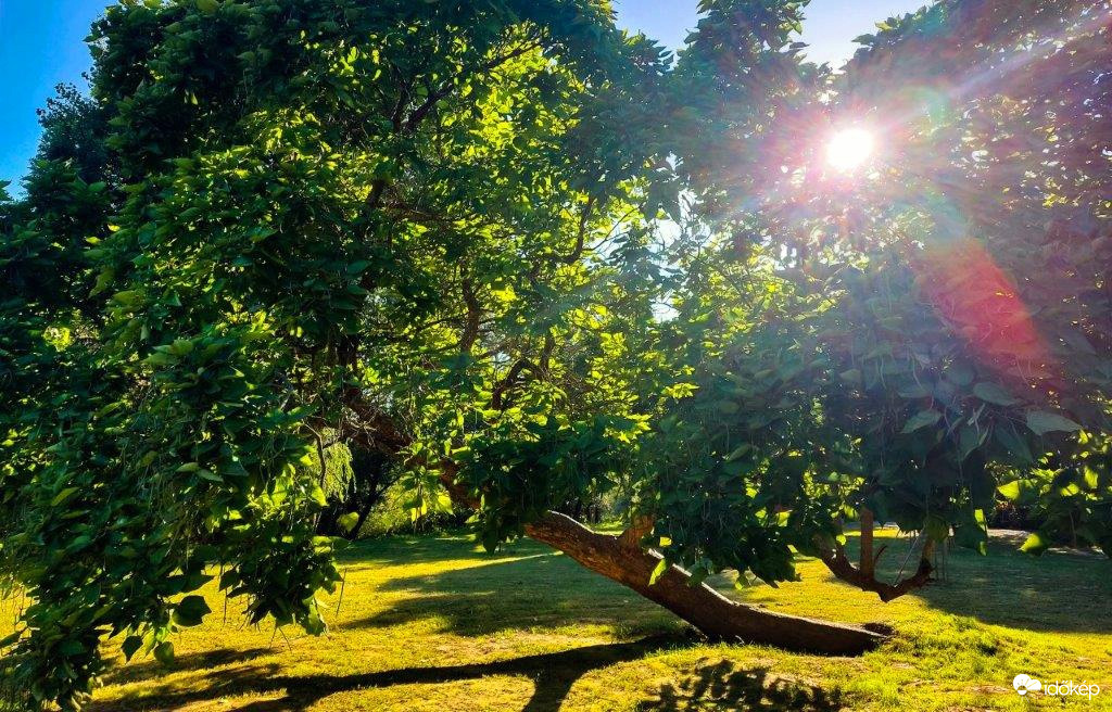 Szeptemberi napsütésben 