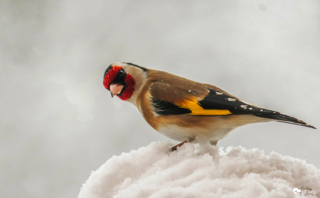 Február van, vagy nem?