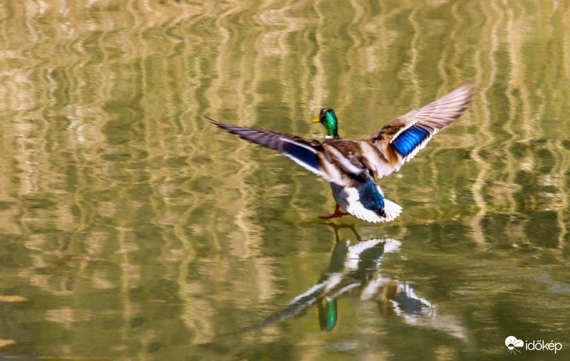 Leszállás elötti pillanat 