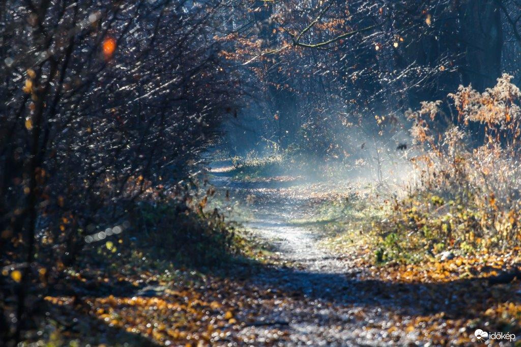 Új év első fényei 