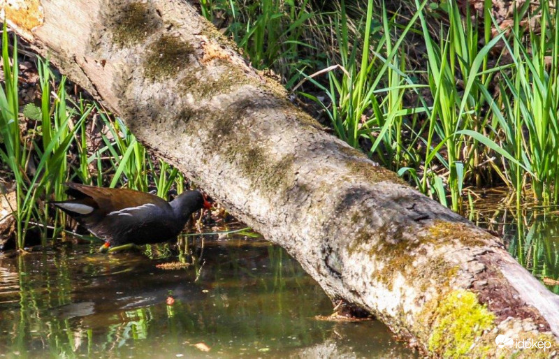 Elgurítom az útból 