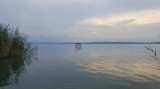 Balatonszárszó