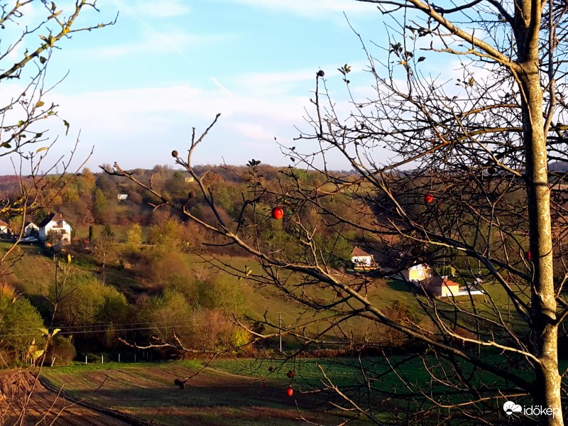 Zalaegerszeg - Bazita