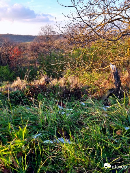 Zalaegerszeg - Bazita