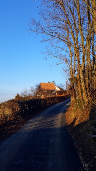 Zalaegerszeg