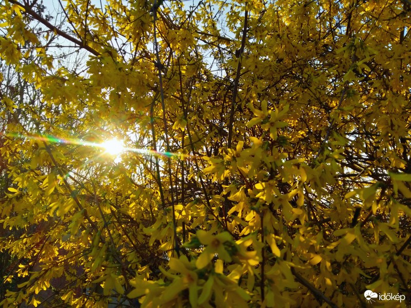 Zalaegerszeg - Gógánhegy