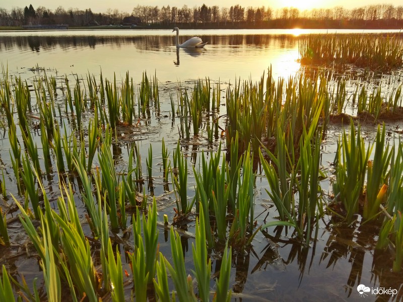 Zalaegerszeg - Gébárti tó