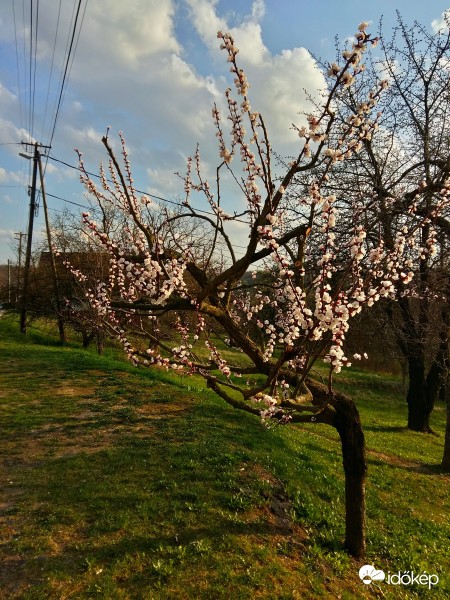 Zalaegerszeg - Ebergény