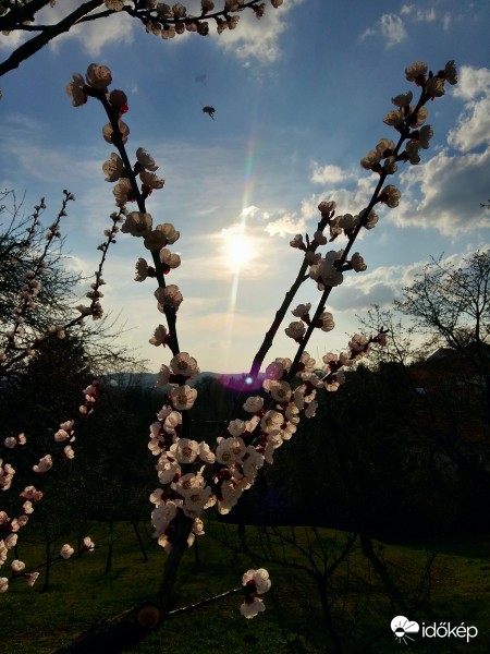 Zalaegerszeg - Ebergény