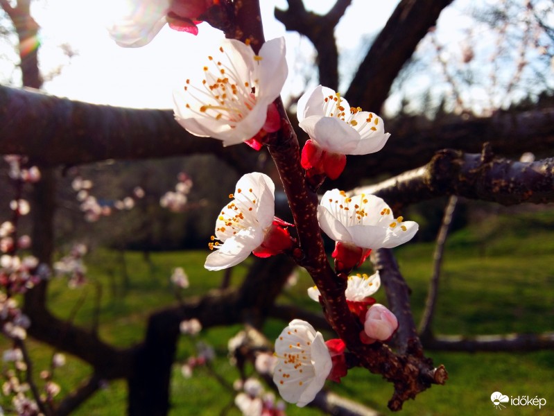 Zalaegerszeg - Ebergény