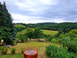 Zalaegerszeg 