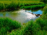 Zalaegerszeg - Zala part
