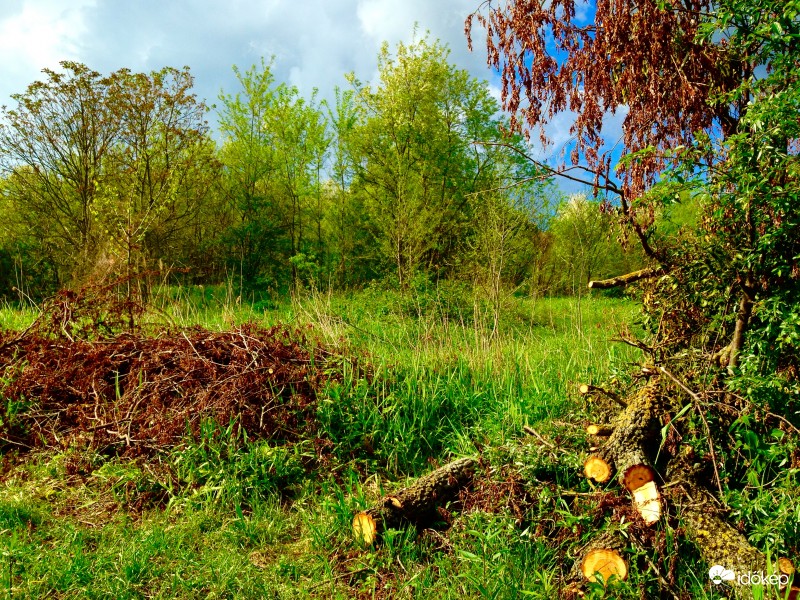 Zalaegerszeg - Zala part