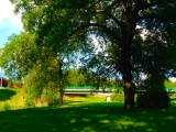 Zalaegerszeg - Zala part