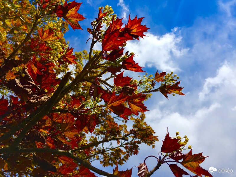 Zalaegerszeg / Gébárti - tó