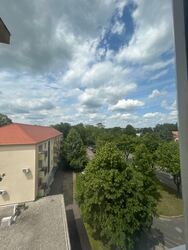 Ajka