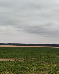 Nagyatád