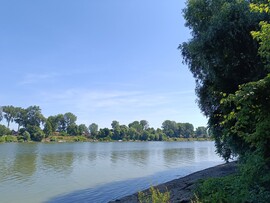 Szeged