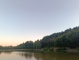 Pécsvárad