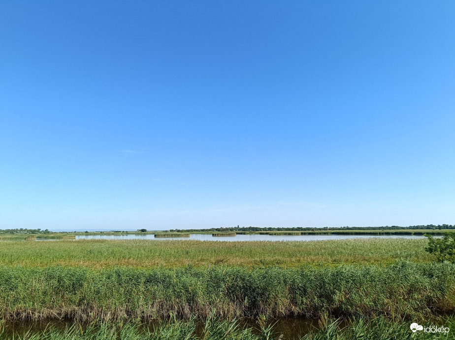 Sarród