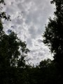 Solymár