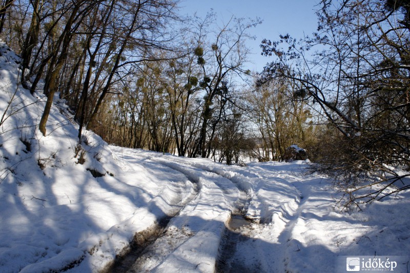 Bakony télen