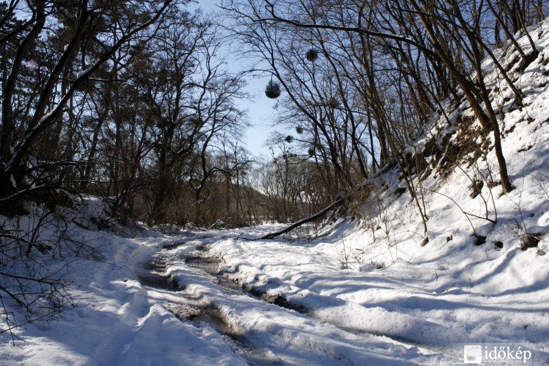 Bakony télen