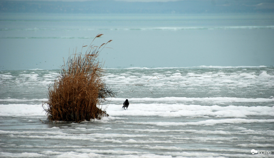 Téli Balaton