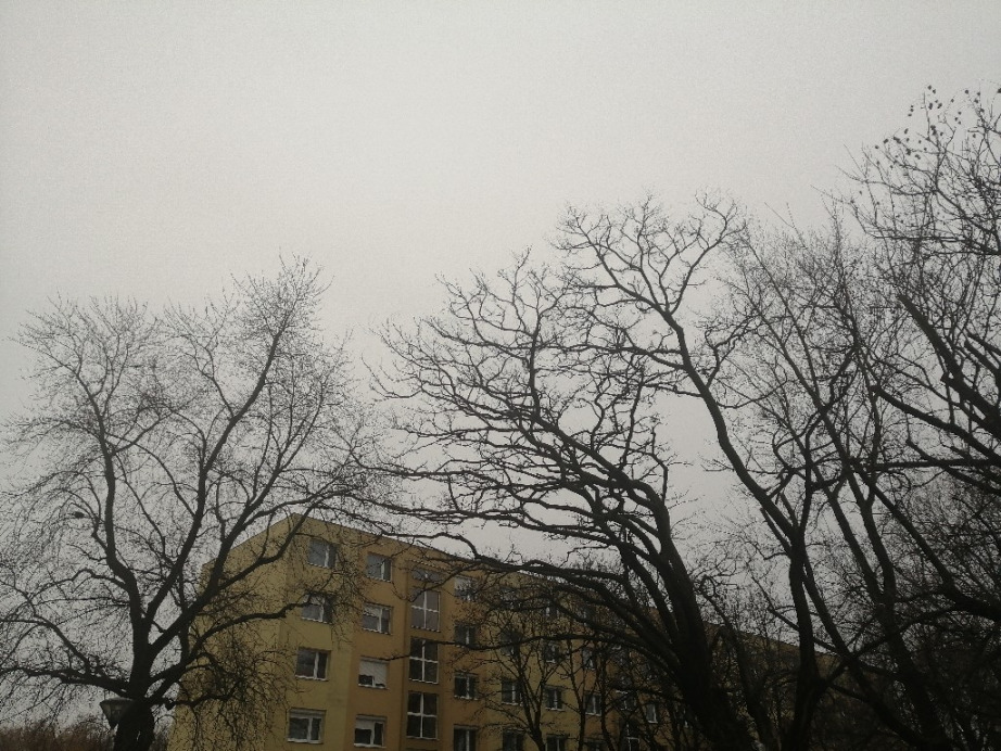 Tiszaújváros