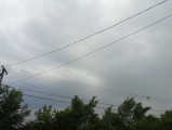 Osli