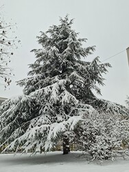 Budapest XXII.ker - Budatétény