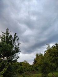 Nagybakónak