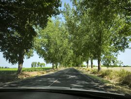 Úton Balaton felé