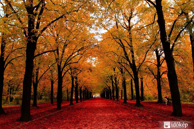 Erzsébet park