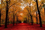 Erzsébet park