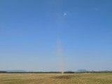 Homokvihar