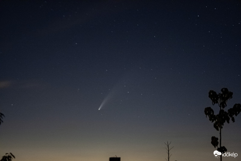 NEOWISE