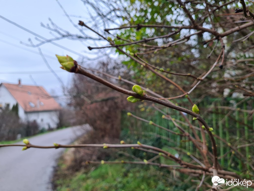 Pomáz