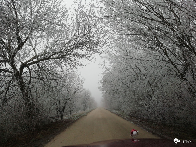 Hódmezővásárhely 