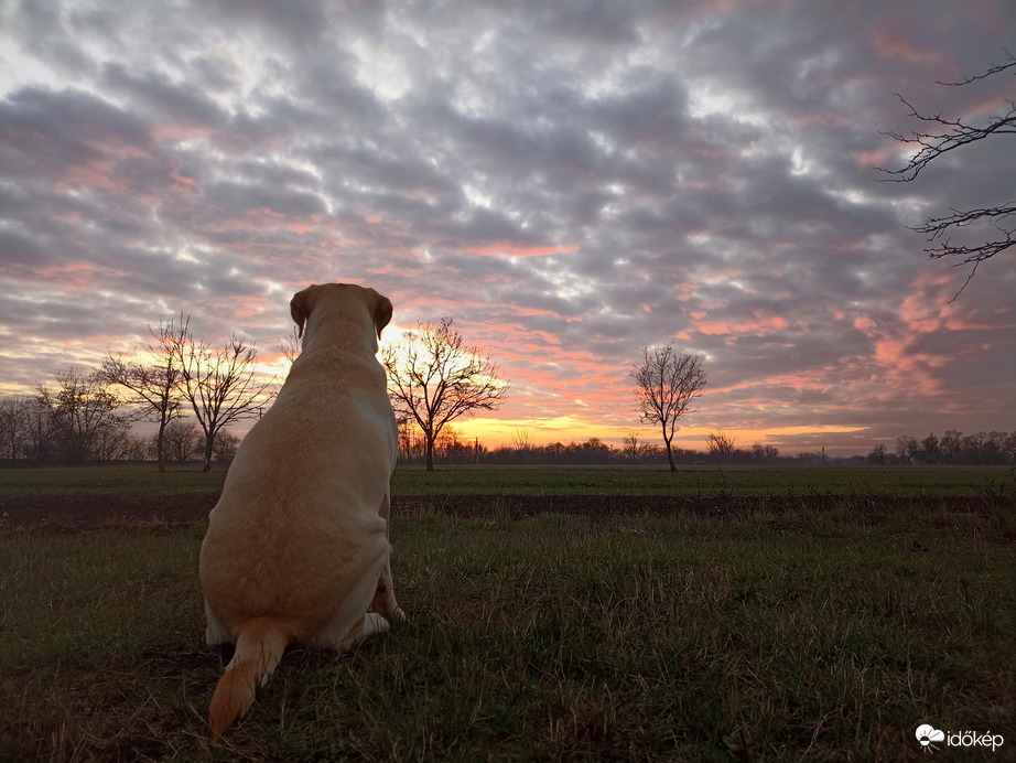 Hódmezővásárhely 