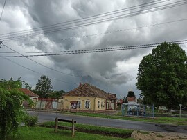 Bő
