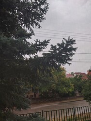 Környe