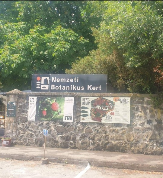 Szentendre