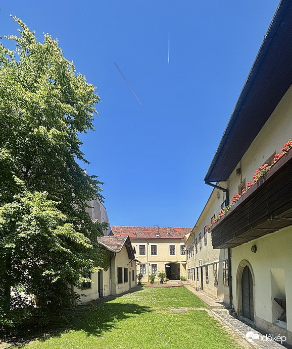 Csendélet. 