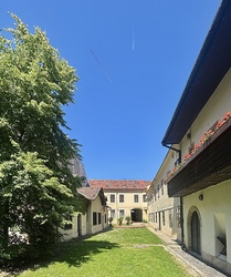 Csendélet. 