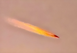 Tűzgömb naplementében. 