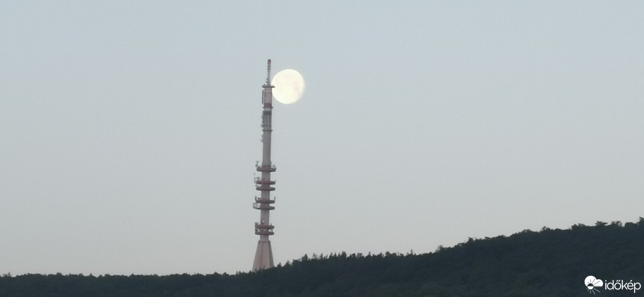 Kledering