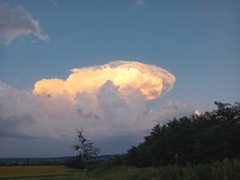 Nagybakónak