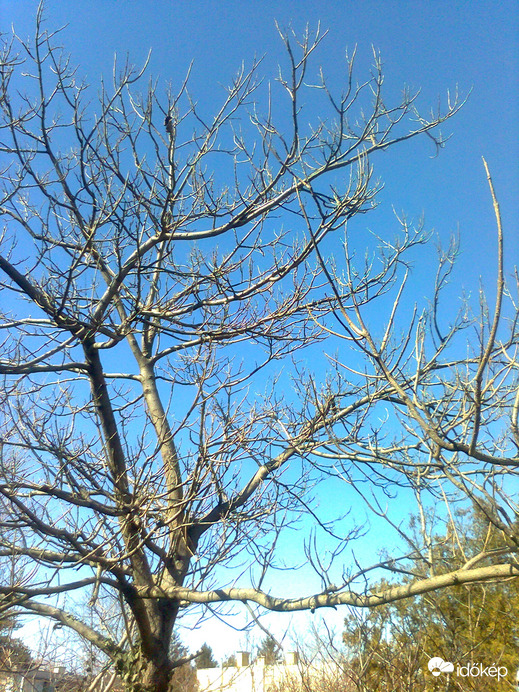 Ercsi